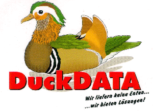 Fernwartungsmodul starten